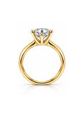Change Jewellery Color